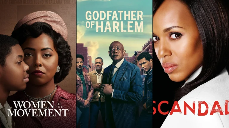 TV Shows Where Black Characters Lead Policy Reforms