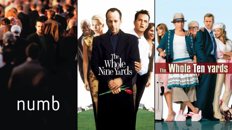 The 10 Most Underrated Matthew Perry Movies, Ranked (from Least to Most Underrated)