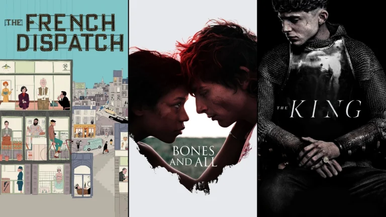 The 10 Most Underrated Timothée Chalamet Movies, Ranked (from Least to Most Underrated)