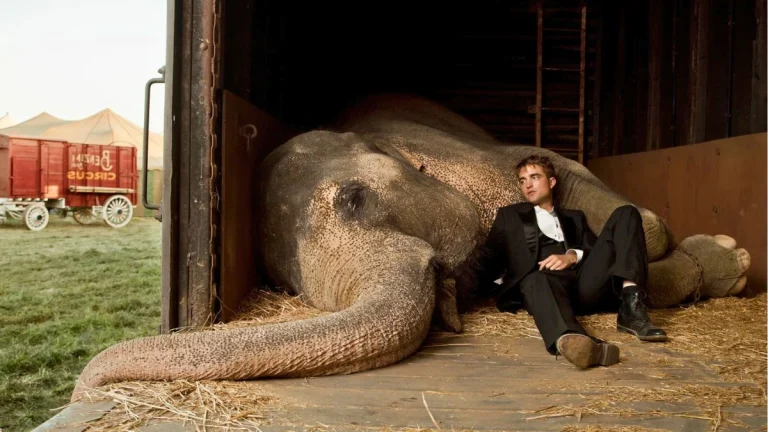 20 Movies that Allegedly Harmed Animals