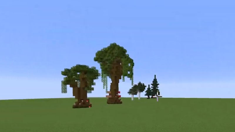 How To Grow Dark Oak Trees In Minecraft? 