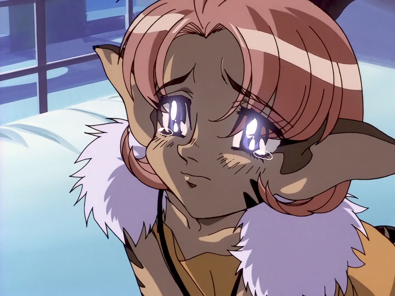 35 Greatest Anime Cat Girl Characters (Ranked)