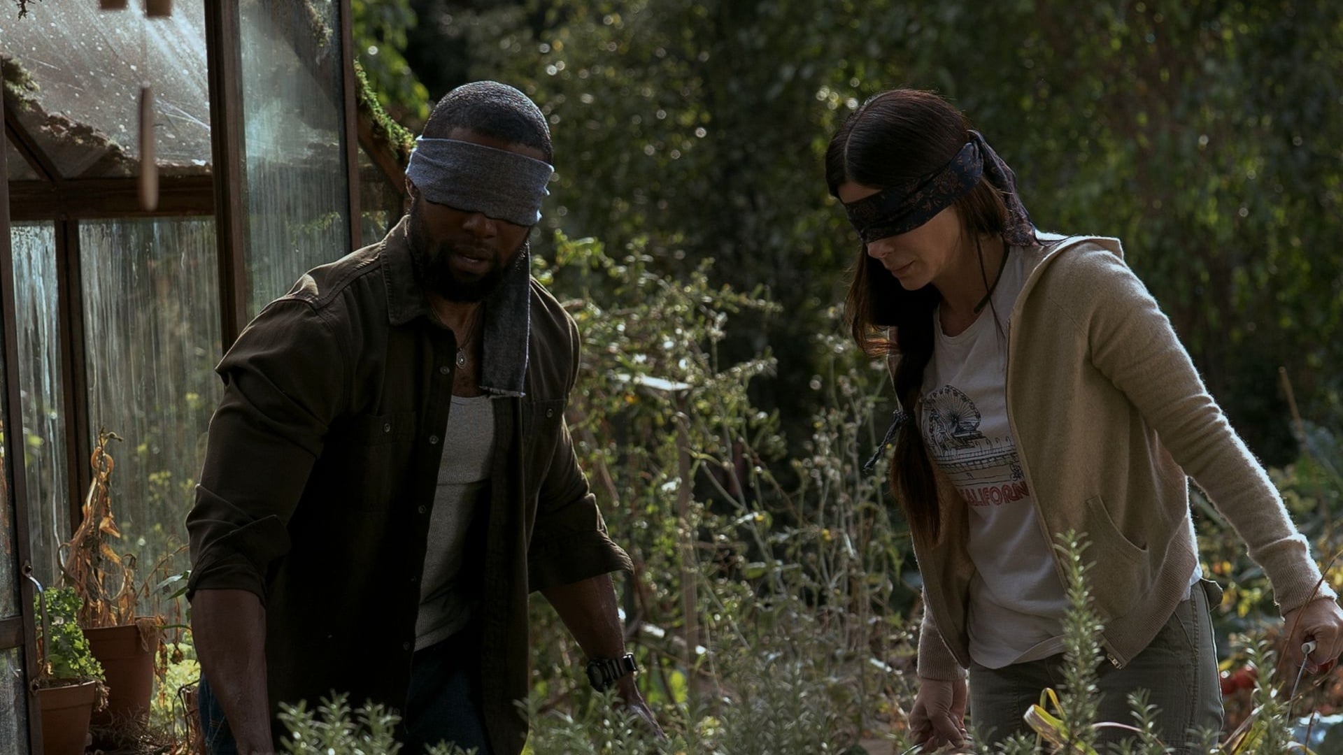 Bird Box Moive 55 Best Post-Apocalyptic Movies Ranked