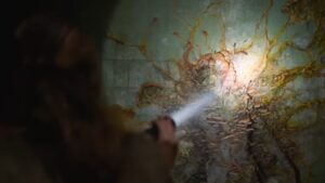 What Are Clickers in The Last of Us?