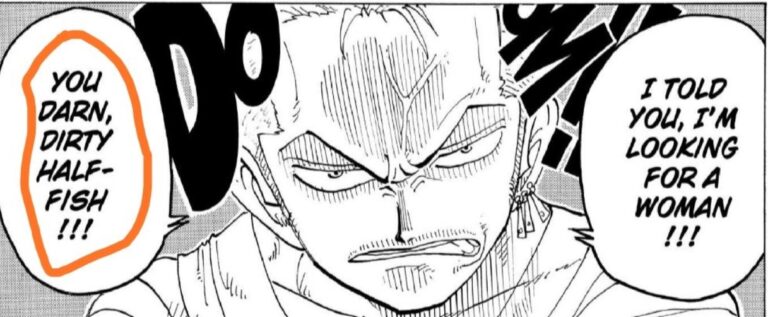 Is Zoro From One Piece Racist Explained