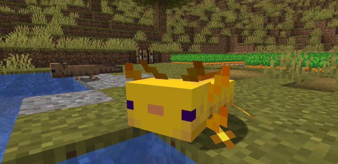 Minecraft Do Axolotls Need Air & Can They Survive on Land?