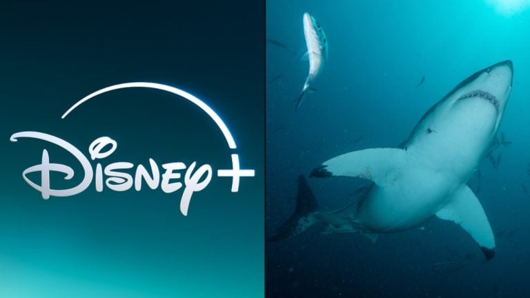 All the TV Shows Arriving on Disney+ This Week in One Place