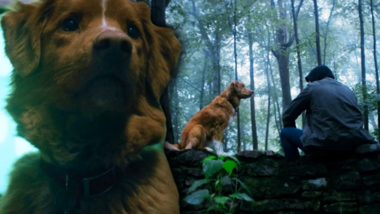 New Poster & Synopsis for ‘Good Boy’ Suggest We Might Get One of the Scariest Dog Movies Ever Made