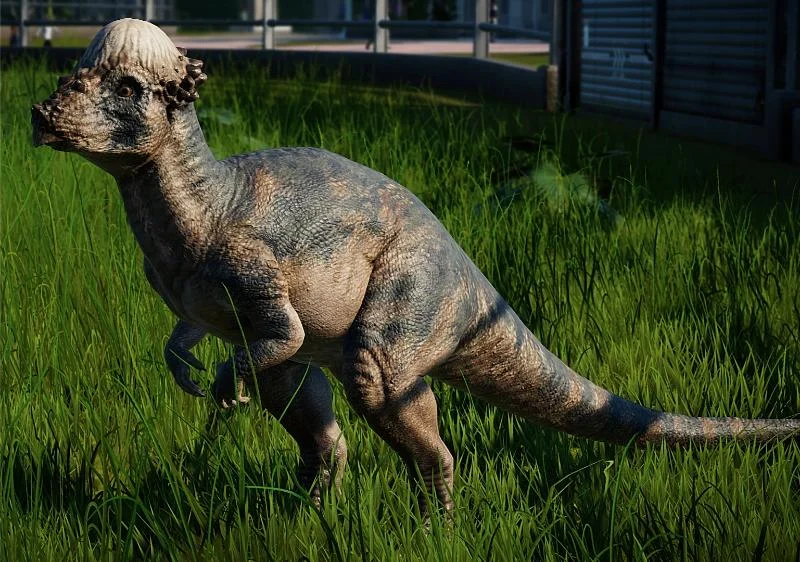 Pachycephalosaurus