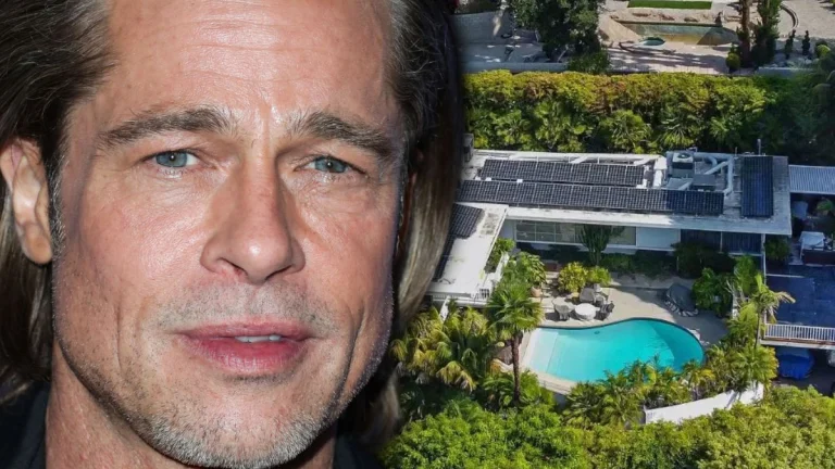 Brad Pitt Plans on Fortifying His Hollywood Hills Mansion as Paranoia Sets In: “He’s Going to Be Installing a Panic Room”