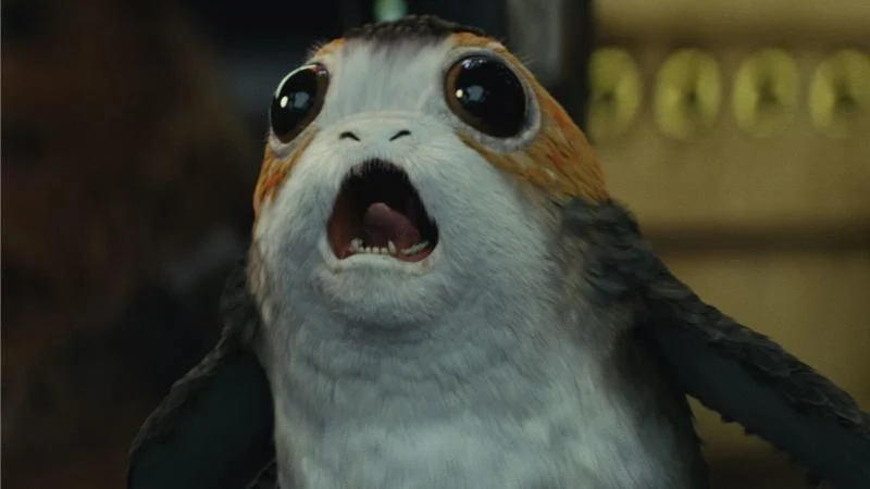 Porgs