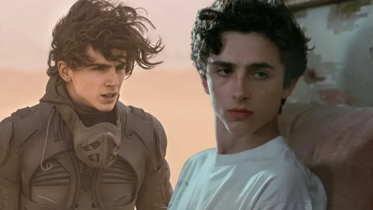 Top 10 Coolest Things About Timothée Chalamet
