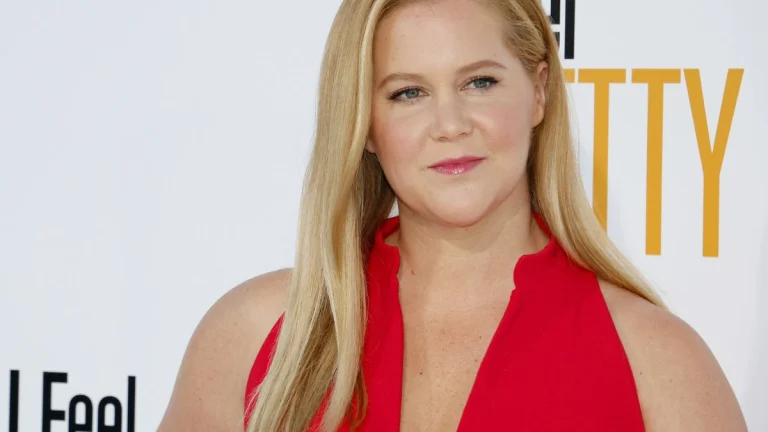 Amy Schumer Faces Online Trolls Over Revenge Body After Divorce From Chris Fisher