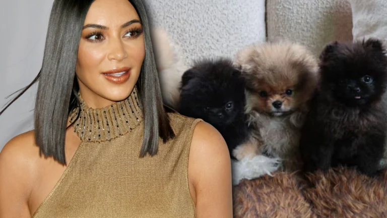 Kim Kardashian Shares the Funny Names Her Kids Picked for Their 4 Dogs