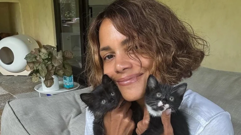 Halle Berry 59 Pushes Fashion Boundaries With Her Latest Sheer Look