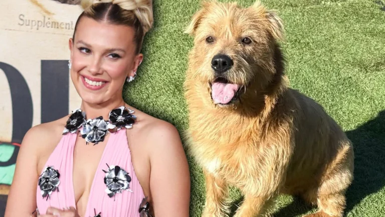 Millie Bobby Brown Flaunts Curves in Bold Yellow Top While Showing Love to Rescue Dogs