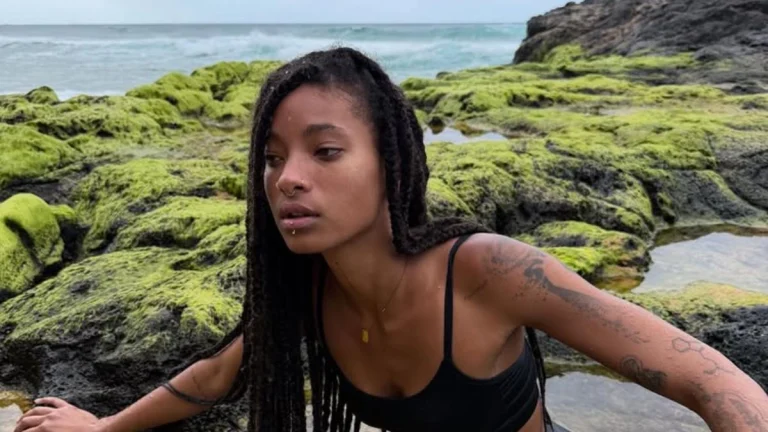 Will Smith’s Daughter, Willow,  Flaunts Toned Abs in Bold Dior Look That Demands Attention