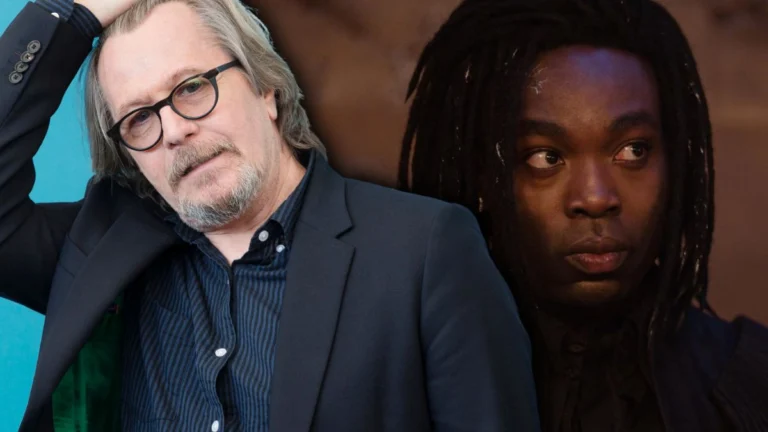 Gary Oldman Thinks HBO’s ‘Harry Potter’ Could Finally Give Fans the Full Story