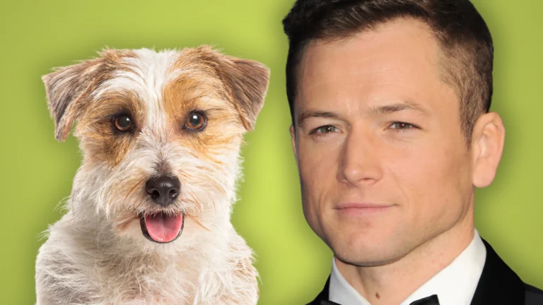 Taron Egerton’s Dog Co-Star Was a ‘Nightmare’ on ‘Everybody Wants to F— Me’ Set
