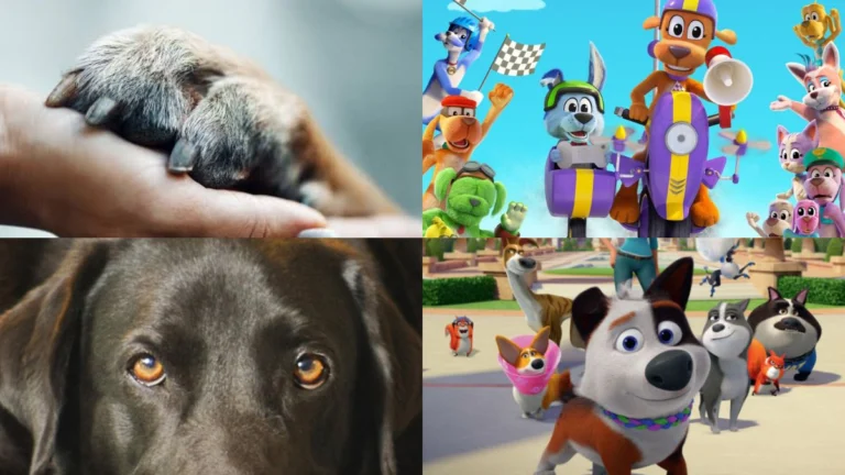 Netflix Titles Dog Owners Can Actually Watch With Their Dog