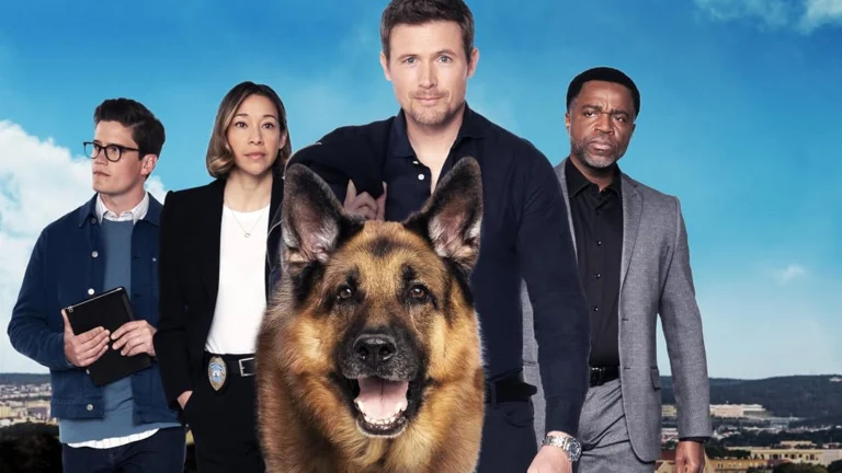 ‘Hudson & Rex’ Season 9 Episode 2 Release Date, Time, Where to Watch and Preview